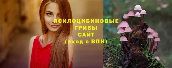 дмт Алексеевка